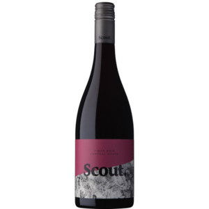 Central Otago Pinot Noir - Scout Wines