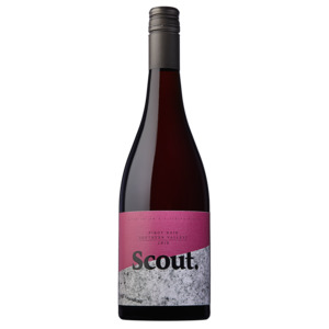 Library Stock 2019 Southern Valleys Pinot Noir - Scout Wines