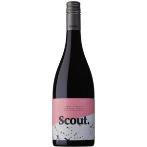 Pinot x Pinot Scout Wines - Scout Wines