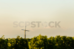 Frost fan at a Hawke's Bay vineyard, Hawke's Bay, New Zealand - SCP Stock