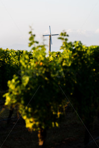 Frost fan at a Hawke's Bay vineyard, Hawke's Bay, New Zealand - SCP Stock