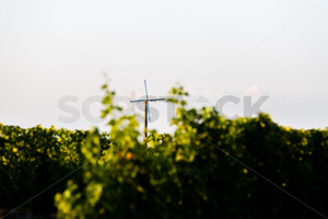 Frost fan at a Hawke's Bay vineyard, Hawke's Bay, New Zealand - SCP Stock