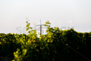 Frost fan at a Hawke's Bay vineyard, Hawke's Bay, New Zealand - SCP Stock