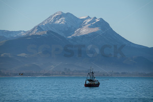 Products: Fishing boat off the Kaikoura Coast, South Island, New Zealand - SCP Stock