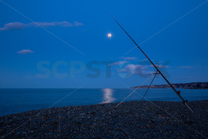 Products: Fishing under the rising Moon, Cape Kidnappers, Te Awanga, Hawke's Bay, New Zealand - SCP Stock