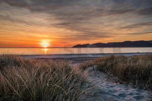 Products: Mahia Beach Sunset, Mahia, Hawke's Bay, New Zealand - SCP Stock