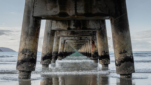 Products: Tolaga Bay (Uawa) Wharf, Tolaga Bay, Eastland, Gisborne, New Zealand - SCP Stock