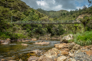 Products: Footbridge over the Waitawheta River, Karangahake Gorge - SCP Stock