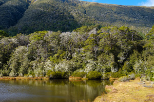 Products: Lewis Pass, South Island, New Zealand - SCP Stock