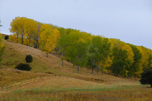 Products: Autumn in Kaikoura, South Island, New Zealand - SCP Stock