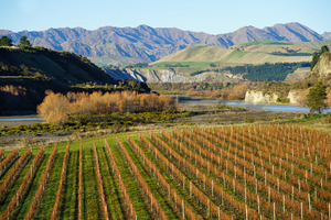 Watere Valley, Marlborough, South Island, New Zealand - SCP Stock