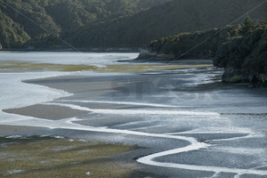 Low Tide at Whanganui Inlet, South island, New Zealand - SCP Stock