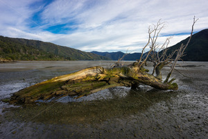 Products: Mahau Sound, Havelock, South Island, New Zealand - SCP Stock