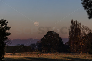 Super blue full moon setting over the Kaweka Ranges, Hastings, Hawke's Bay - SCP Stock %
