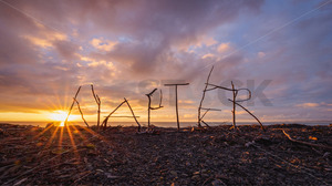 Napier driftwood art on Marine Parade Beach at Sunrise, Napier, Hawke's Bay, New&hellip;