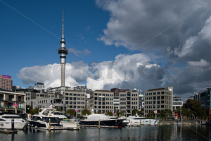 Yachts, appartments & businesses with the Skytower behind, Viaduct Basin, Au&hellip;