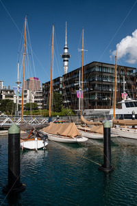 Yachts & appartments with the Skytower behind, Viaduct Basin, Auckland CBD, &hellip;