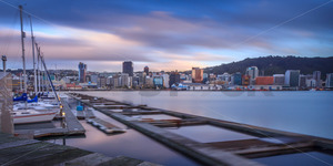 Wellington skyscrapers and yachts at dawn, New Zealand - SCP Stock