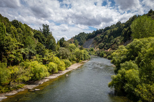 Products: Whanganui River, SH 43, The Forgotten Highway, King Country, New Zealand - SCP Stock