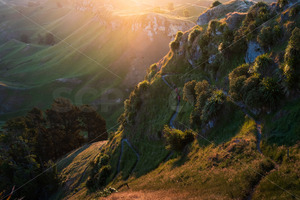 Walkers descending Te Mata Peak, Hawke's Bay, New Zealand - SCP Stock