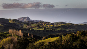 Te Mata Peak as viewed from Kahuranaki Road, Hawke's Bay, New Zealand - SCP Stock
