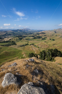 Te Mata Peak in the daytime, Havelock North, New Zealand - SCP Stock
