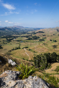 Te Mata Peak in the daytime, Havelock North, New Zealand - SCP Stock