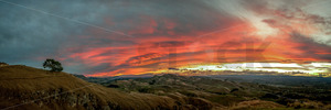 Te Mata Peak, Hawke's Bay, New Zealand - SCP Stock