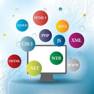 Introduction To Developing Websites SCRATCHPAD