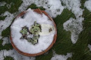 Love Africa, Barking, London – Scrumble Photography