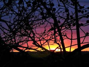 Red Hills Rd Sunset – Scrumble Photography