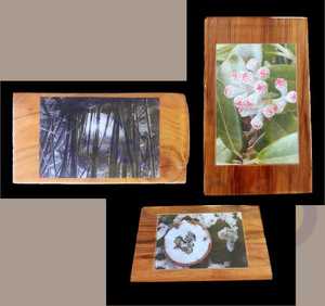 Products: Wood Mount: Rimu, Rose Wood & Macrocarpa – Scrumble Photography