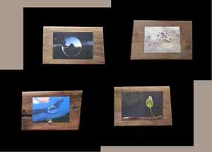 Products: Wood Mount: Totara – Scrumble Photography