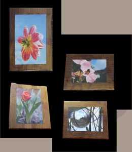 Products: Wood Mount: Totara – Small Rectangle – Scrumble Photography