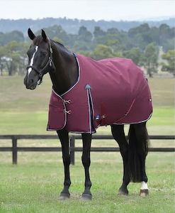 WB COMFITEC ESSENTIAL TURNOUT 50G RUG scsaddlery