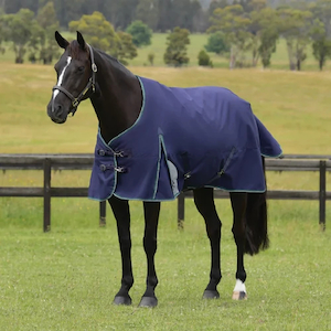 WB COMFITEC PLUS DYNAMIC TURNOUT 100G scsaddlery
