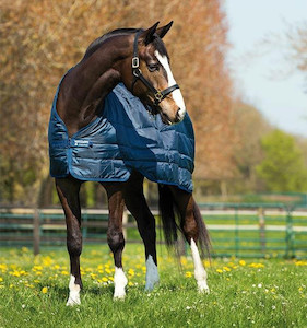 Products: HORSEWARE LINER 200g scsaddlery