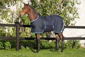 Products: HORSEWARE AMIGO FOAL RUG 50GRAM scsaddlery