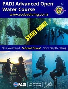 Advanced Open Water Course - NZ Sea Adventures - Wellington