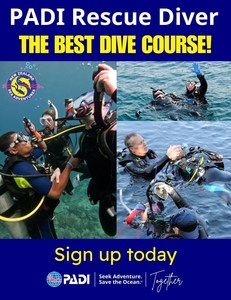 Rescue Diver Course - NZ Sea Adventures