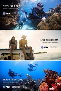 Products: PADI Divemaster Course - NZ Sea Adventures - GoPRO