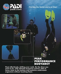 Peak Performance Buoyancy - NZ Sea Adventures