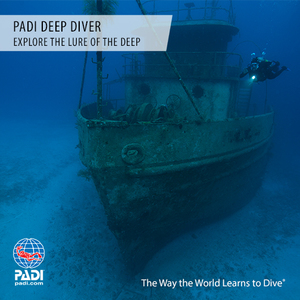 PADI Deep Diver Specialty - Wellington NZ Sea Adventures