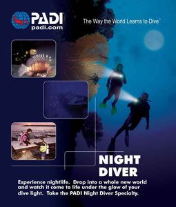 Night Diver Specialty Course - NZ Sea Adventures