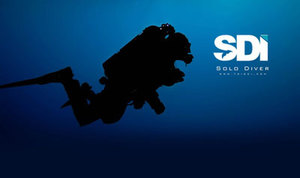 SDI Solo Diver course - NZ Sea Adventures