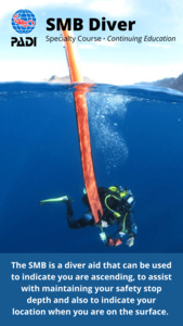 SMB Specialty Course - NZ Sea Adventures, NZ Sea Adventures