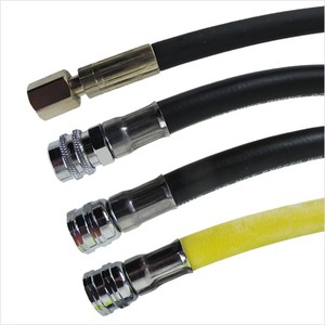 Regulator, Octi, Inflator and HP Hoses - NZ Sea Adventures