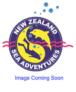 Apollo AV-1 DPV's - NZ Sea Adventures