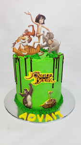 Jungle Book SD Cakes