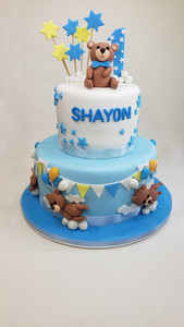 Teddy 2 Tier SD Cakes
